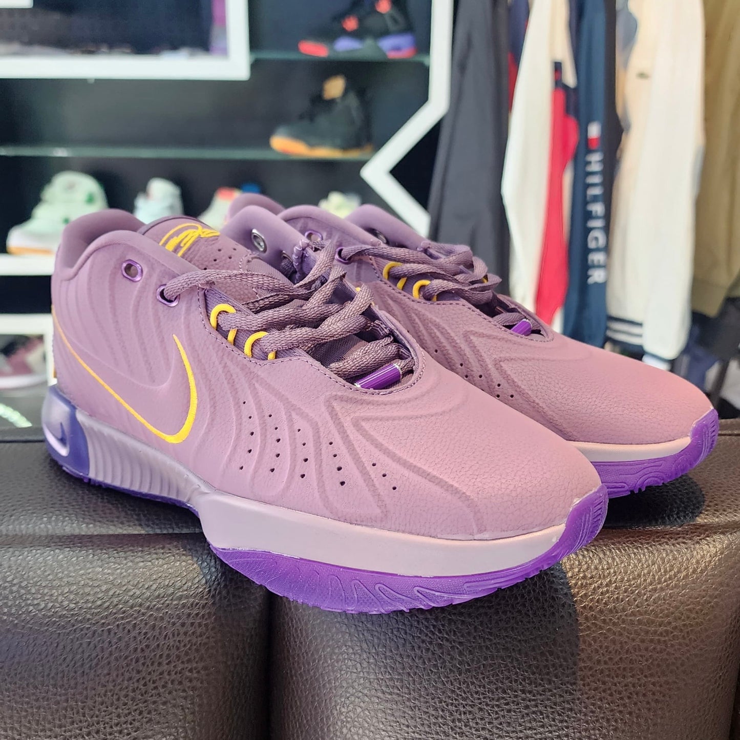 LeBron James 21 Morado